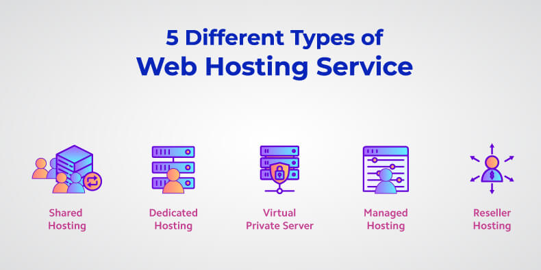 Read more about the article The 5 Different Types of Website Hosting Explained for Beginners